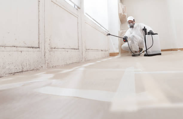 24/7 Emergency Mold Remediation experts in Saratoga, NC